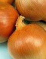 Cipolla Bionda